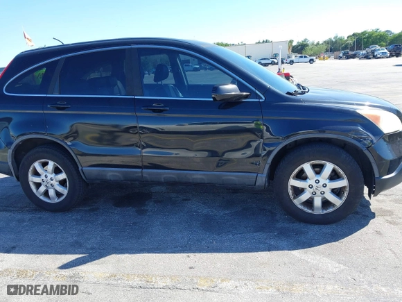 2009 Honda CR-V EX-L with VIN 5J6RE38719L028312, listed as a IAAI auction lot 41783546 with 206,745 mi miles. Bid and sale history available at carsss.com. Image 6.