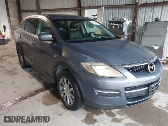 2008 Mazda CX-9 Touring with VIN JM3TB28V280141545, listed as a IAAI auction lot 42121024 with 253,441 mi miles and . Bid and sale history available at carsss.com. Image 1.