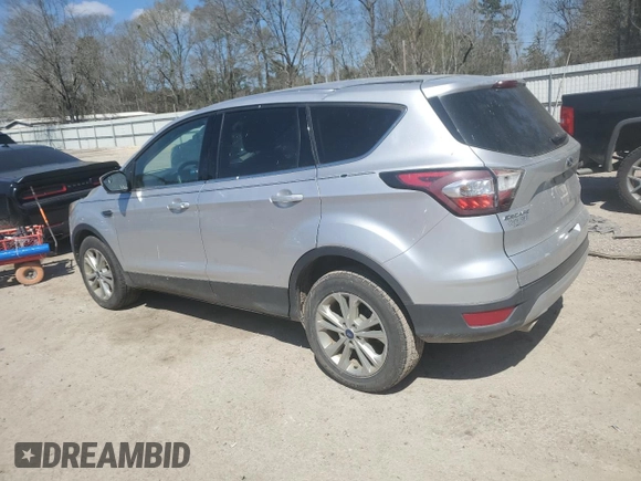 2017 Ford Escape SE with VIN 1FMCU0G9XHUB31328, listed as a Copart auction lot 48810195 with Not Provided miles and Salvage Title. Bid and sale history available at DreamBid. Image 2.
