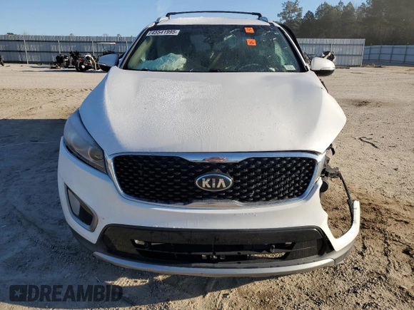 2016 Kia Sorento EX with VIN 5XYPHDA16GG137051, listed as a Copart auction lot 45541995 with 0 mi miles and Salvage Title. Bid and sale history available at carsss.com. Image 5.