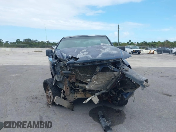 2006 Ford F-150 XLT with VIN 1FTRW14W26FA66615, listed as a IAAI auction lot 40617019 with Not provided miles and . Bid and sale history available at DreamBid. Image 12.