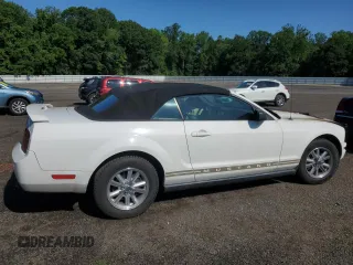 2005 Ford Mustang Deluxe with VIN 1ZVFT84N755194037, listed as a Copart auction lot 61485405 with Not provided miles and Salvage title. Bid and sale history available at DreamBid. Image 3.