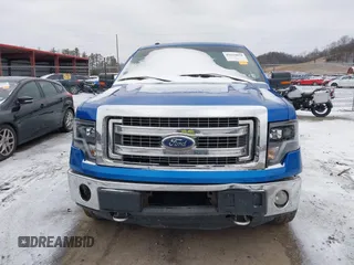 2013 Ford F-150 XL with VIN 1FTFX1ET9DFA00998, listed as a IAAI auction lot 41216058 with 168,995 mi miles and . Bid and sale history available at DreamBid. Image 12.