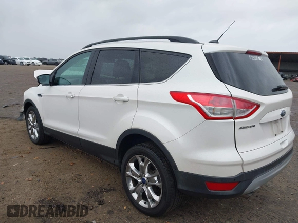2014 Ford Escape SE with VIN 1FMCU0GX6EUD43105, listed as a IAAI auction lot 41728686 with 95,729 mi miles. Bid and sale history available at carsss.com. Image 3.