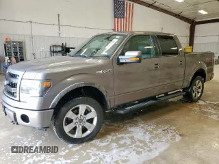 2013 Ford F-150 XL with VIN 1FTFW1EF5DKF93151, listed as a Copart auction lot 59300215 with 187,485 mi miles and Clean title. Bid and sale history available at DreamBid. Image 1.