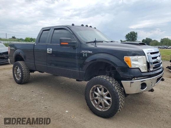 2009 Ford F-150 XL with VIN 1FTPX14V09FA78746, listed as a Copart auction lot 64223905 with 228,763 mi miles and Clean title. Bid and sale history available at DreamBid. Image 4.