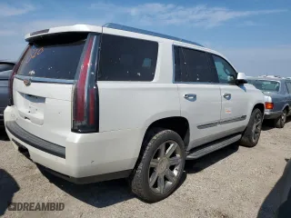 2017 Cadillac Escalade Luxury with VIN 1GYS4BKJ2HR153107, listed as a Copart auction lot 76564944 with 0 mi miles and Salvage Title. Bid and sale history available at carsss.com. Image 3.