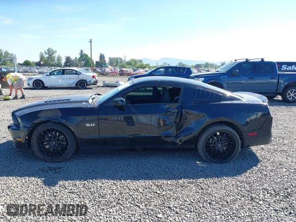 2014 Ford Mustang GT with VIN 1ZVBP8CF5E5201080, listed as a IAAI auction lot 42191392 with 42,701 mi miles and . Bid and sale history available at DreamBid. Image 14.