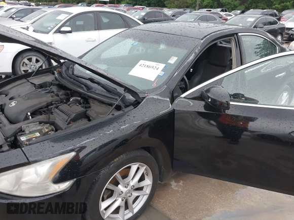 2009 Nissan Maxima SV with VIN 1N4AA51E19C806374, listed as a IAAI auction lot 42186924 with 215,930 mi miles and . Bid and sale history available at DreamBid. Image 6.