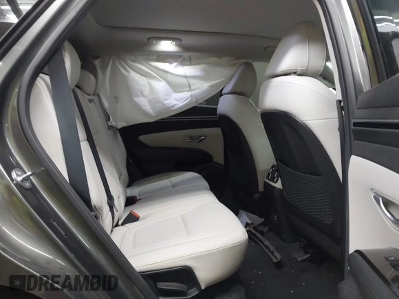 2023 Hyundai Tucson Limited with VIN 5NMJE3AE5PH248949, listed as a IAAI auction lot 42150329 with 16,499 mi miles and . Bid and sale history available at DreamBid. Image 8.