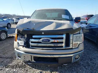 2009 Ford F-150 STX с VIN 1FTRX14899FA35204, выставлен на аукционе IAAI как лот 41757783 с пробегом 229 262 миль миль и . История ставок и продаж доступна на DreamBid. Изображение 11.