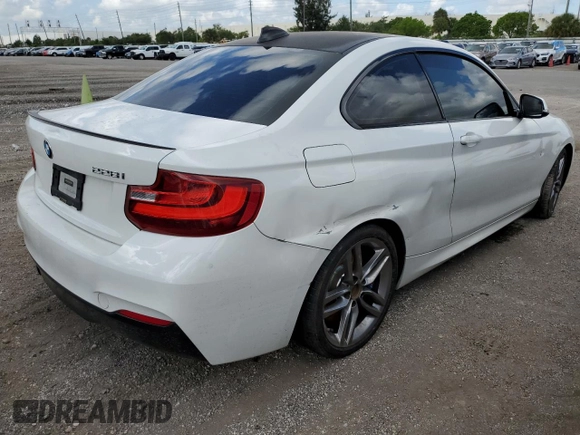 2015 BMW 2 Series 228i with VIN WBA1F5C52FV256611, listed as a Copart auction lot 49412993 with 0 mi miles. Bid and sale history available at carsss.com. Image 3.