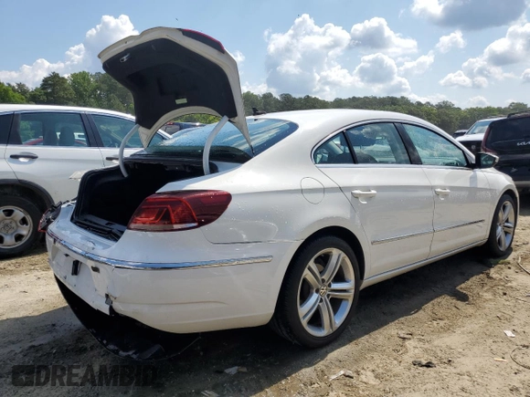 2013 Volkswagen CC R-Line with VIN WVWBP7AN1DE513242, listed as a Copart auction lot 58666524 with 53,460 mi miles and Salvage Title. Bid and sale history available at carsss.com. Image 3.