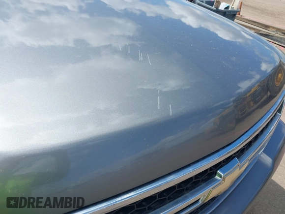 2006 Chevrolet Silverado 1500 LT3 with VIN 1GCEK19Z56Z143814, listed as a IAAI auction lot 42163869 with 195,192 mi miles and . Bid and sale history available at DreamBid. Image 12.