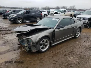 2002 Ford Mustang GT Deluxe with VIN 1FAFP42X02F203595, listed as a Copart auction lot 40194624 with 0 mi miles and Salvage Title. Bid and sale history available at carsss.com. Image 1.