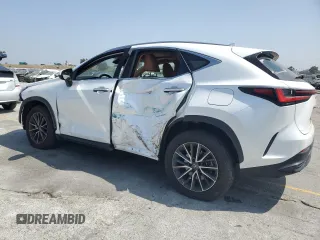 2024 Lexus NX 250 Premium with VIN JTJGDCAZ2R5015128, listed as a Copart auction lot 58384805 with 23,453 mi miles and Salvage title. Bid and sale history available at DreamBid. Image 2.