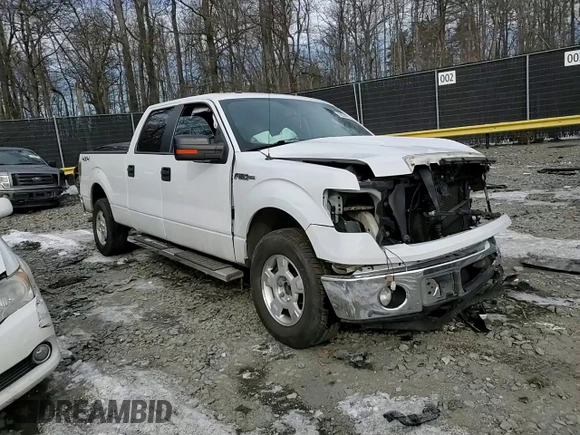 2013 Ford F-150 XL with VIN 1FTFW1EF5DFA22641, listed as a Copart auction lot 42034775 with 227,510 mi miles and Salvage Title. Bid and sale history available at carsss.com. Image 11.