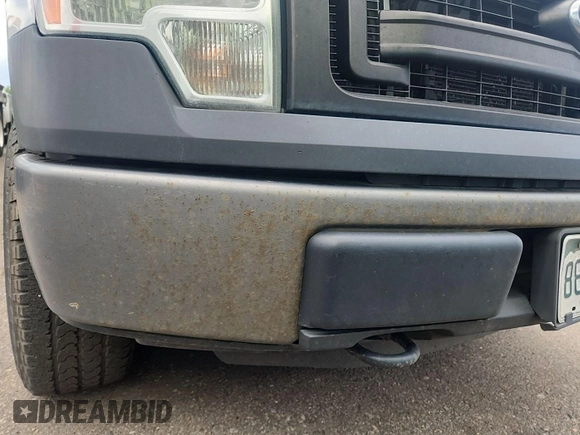 2013 Ford F-150 XL with VIN 1FTFX1EF0DKF87495, listed as a IAAI auction lot 42587666 with 221,982 mi miles and . Bid and sale history available at DreamBid. Image 6.