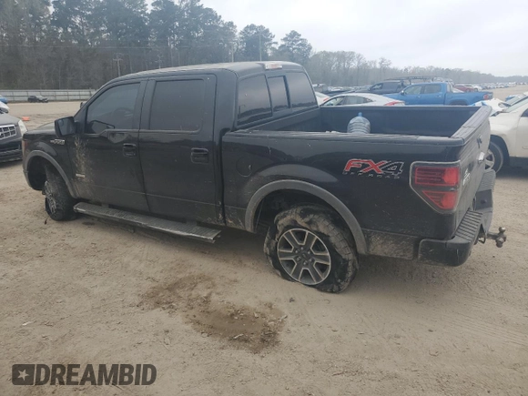 2013 Ford F-150 XL with VIN 1FTFW1ET4DKF46019, listed as a Copart auction lot 48988855 with 170,141 mi miles and Salvage Title. Bid and sale history available at carsss.com. Image 2.