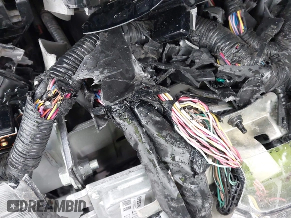 2022 Nissan Sentra SR z VIN 3N1AB8DV6NY230631, wystawiony jako IAAI lot #41974306 z przebiegiem 46 433 mil mil oraz . Historia ofert i sprzedaży dostępna na DreamBid. Obrazek 18.