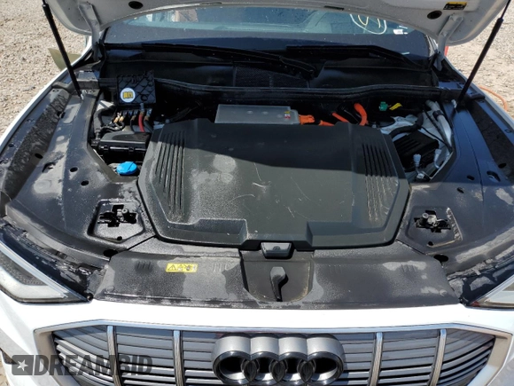 2019 Audi e-tron Prestige with VIN WA1VABGE8KB022801, listed as a Copart auction lot 52213123 with 28,988 mi miles. Bid and sale history available at carsss.com. Image 11.