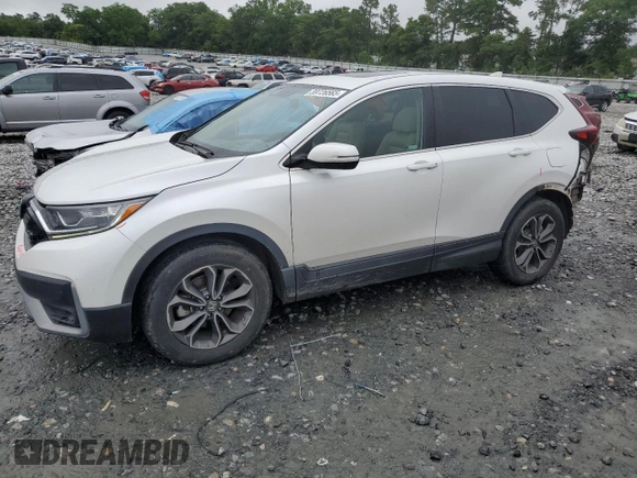 2020 Honda CR-V EX with VIN 7FARW1H59LE004988, listed as a Copart auction lot 59726565 with 38,136 mi miles and Salvage title. Bid and sale history available at DreamBid. Image 1.