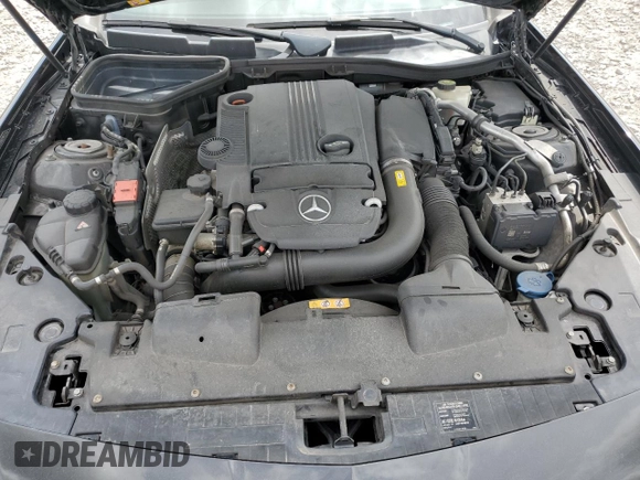 2013 Mercedes-Benz SLK 250 with VIN WDDPK4HA7DF073209, listed as a Copart auction lot 48878235 with 87,899 mi miles and Salvage title. Bid and sale history available at DreamBid. Image 11.