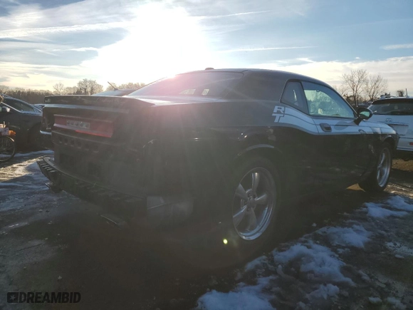 2010 Dodge Challenger R/T with VIN 2B3CJ5DT0AH314838, listed as a Copart auction lot 43503315 with 55,834 mi miles and Non Repairable. Bid and sale history available at carsss.com. Image 3.
