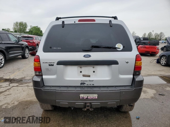 2006 Ford Escape XLT with VIN 1FMCU93156KA73772, listed as a Copart auction lot 55658445 with 217,335 mi miles and Salvage title. Bid and sale history available at DreamBid. Image 6.
