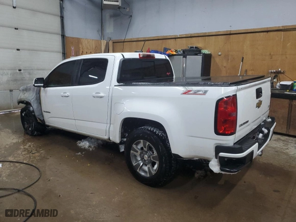 2017 Chevrolet Colorado 2WD Z71 with VIN 1GCGSDE19H1171546, listed as a Copart auction lot 42098005 with 0 mi miles and Non Repairable. Bid and sale history available at carsss.com. Image 2.