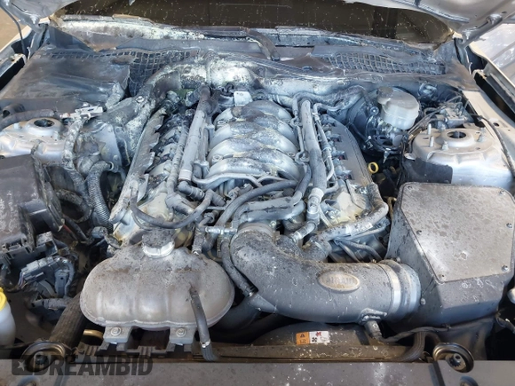 2015 Ford Mustang GT with VIN 1FA6P8CF7F5351817, listed as a IAAI auction lot 42056138 with Not Provided miles and . Bid and sale history available at carsss.com. Image 10.