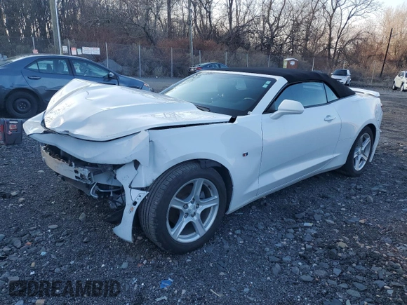 2019 Chevrolet Camaro 1LT with VIN 1G1FB3DXXK0122907, listed as a Copart auction lot 41435665 with 88,237 mi miles and Salvage Title. Bid and sale history available at carsss.com. Image 1.