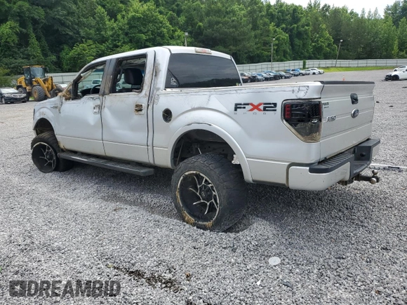 2010 Ford F-150 XL with VIN 1FTEW1C84AKE62319, listed as a Copart auction lot 59796895 with 179,589 mi miles and Salvage title. Bid and sale history available at DreamBid. Image 2.