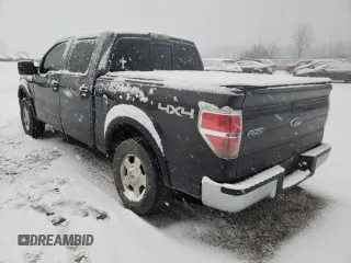 2010 Ford F-150 XL with VIN 1FTEW1E88AFC73162, listed as a Copart auction lot 67450871 with 288,009 mi miles and Clean title. Bid and sale history available at DreamBid. Image 3.