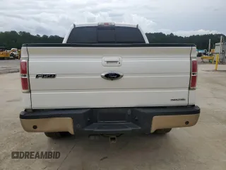 2011 Ford F-150 XL with VIN 1FTFW1EF3BFA24417, listed as a Copart auction lot 58860725 with 204,789 mi miles and Salvage title. Bid and sale history available at DreamBid. Image 6.