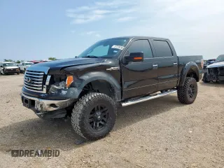 2012 Ford F-150 XL z VIN 1FTFW1EF8CFC20306, wystawiony jako Copart lot #57228395 z przebiegiem 116 363 mil mil oraz Szkoda całkowita • Salvage title. Historia ofert i sprzedaży dostępna na DreamBid. Obrazek 1.