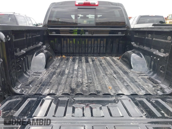 2022 GMC Canyon 4WD AT4 with VIN 1GTG6FEN0N1249453, listed as a IAAI auction lot 41513689 with 44,285 mi miles and . Bid and sale history available at carsss.com. Image 18.
