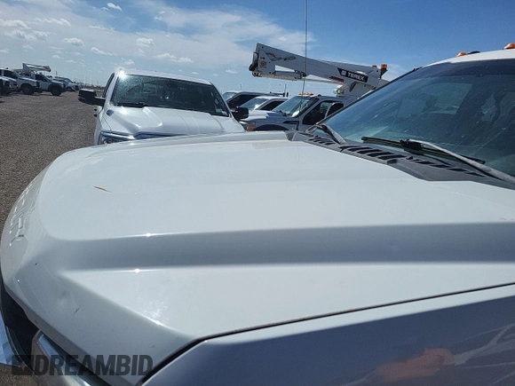 2019 Ford F-350 Platinum with VIN 1FT7W3B60KEF59599, listed as a IAAI auction lot 42677821 with 125,789 mi miles and . Bid and sale history available at DreamBid. Image 21.
