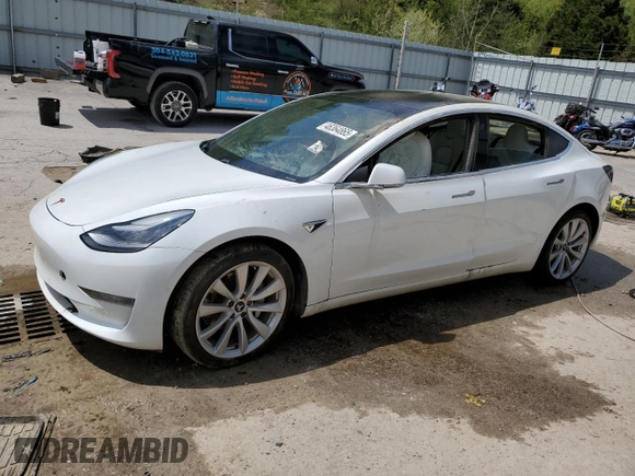 2019 Tesla Model 3 Mid Range with VIN 5YJ3E1EA3KF509087, listed as a Copart auction lot 46364865 with Not Provided miles and Salvage Title. Bid and sale history available at DreamBid. Image 1.