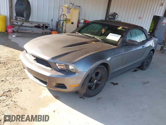 2010 Ford Mustang V6 with VIN 1ZVBP8ENXA5171928, listed as a IAAI auction lot 42556844 with 168,509 mi miles and . Bid and sale history available at DreamBid. Image 2.