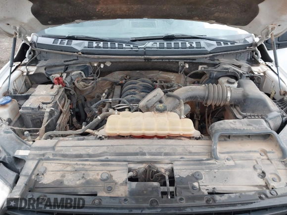 2018 Ford F-150 XL with VIN 1FTNF1E53JKC23766, listed as a IAAI auction lot 41149145 with 301,176 mi miles and . Bid and sale history available at DreamBid. Image 10.