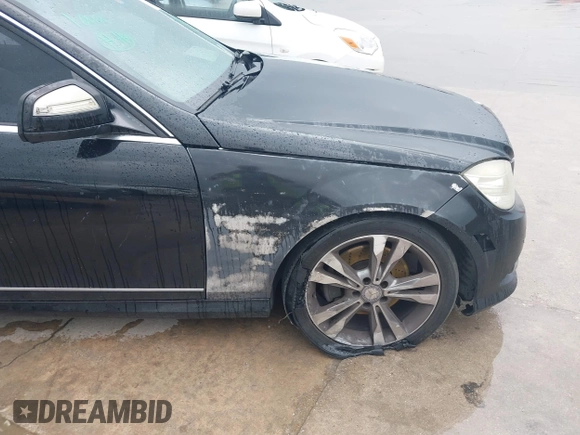 2009 Mercedes-Benz C-Class 3.5L Sport with VIN WDDGF56X19R043159, listed as a IAAI auction lot 41910010 with 173,817 mi miles. Bid and sale history available at carsss.com. Image 12.