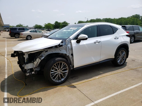 2024 Lexus NX 350h Luxury with VIN 2T2HKCEZ3RC020084, listed as a Copart auction lot 59913055 with 35,979 mi miles and Salvage title. Bid and sale history available at DreamBid. Image 1.
