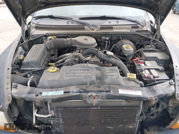 2000 Dodge Dakota Sport с VIN 1B7GL2AX5YS775200, выставлен на аукционе IAAI как лот 42113896 с пробегом 224 337 миль миль и . История ставок и продаж доступна на DreamBid. Изображение 10.