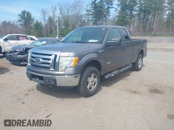 2011 Ford F-150 XL with VIN 1FTFX1ET5BFB49485, listed as a IAAI auction lot 42074270 with 206,090 mi miles. Bid and sale history available at carsss.com. Image 2.