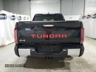 2022 Toyota Tundra Limited with VIN 5TFJA5DB1NX007550, listed as a Copart auction lot 48113095 with 29,444 mi miles and Clean title. Bid and sale history available at DreamBid. Image 6.