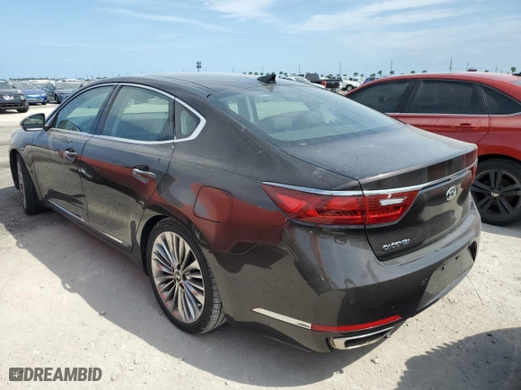 2017 Kia Cadenza Premium with VIN KNALC4J13H5066637, listed as a Copart auction lot 76473844 with NaN miles and Salvage Title. Bid and sale history available at carsss.com. Image 2.