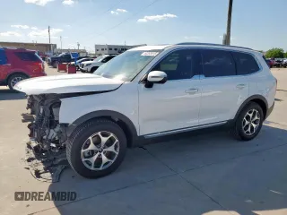 2020 Kia Telluride EX with VIN 5XYP34HC0LG048446, listed as a Copart auction lot 52353415 with 97,436 mi miles and Salvage title. Bid and sale history available at DreamBid. Image 1.