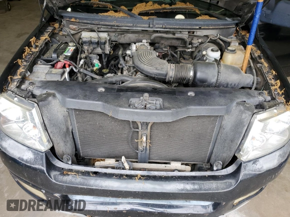 2004 Ford F-150 STX with VIN 1FTRX12W64NA79046, listed as a Copart auction lot 51309555 with 246,025 mi miles and Clean Title. Bid and sale history available at carsss.com. Image 11.
