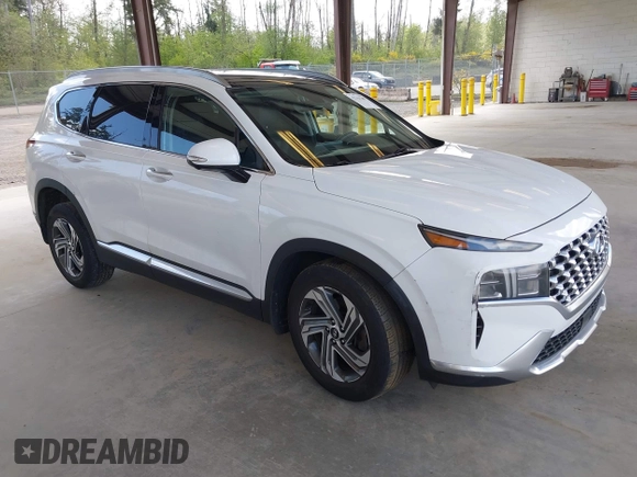 2023 Hyundai Santa Fe SEL with VIN 5NMS34AJ3PH548146, listed as a IAAI auction lot 42161287 with 46,708 mi miles and . Bid and sale history available at DreamBid. Image 1.